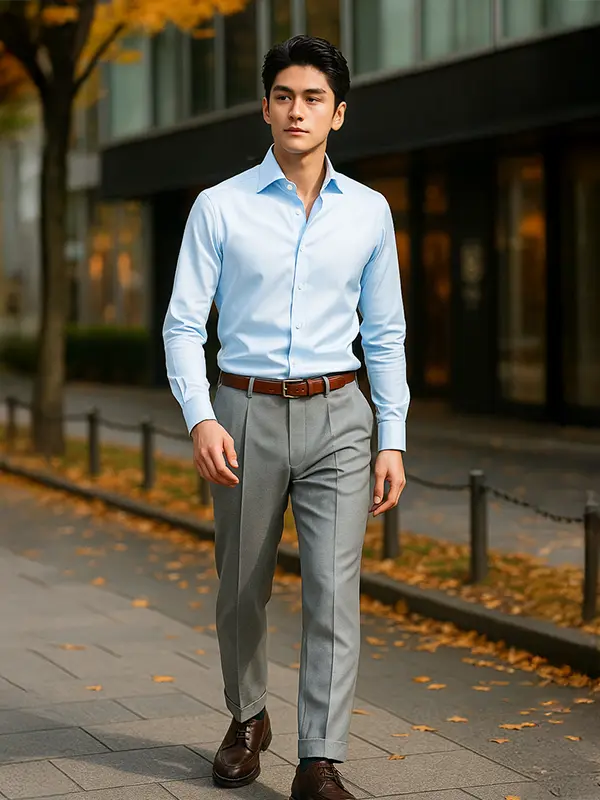 COTTON100% WRINKLE-FREE SHIRTS