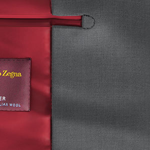 Zegna Travellerライトグレー ツイル (AR101834)
