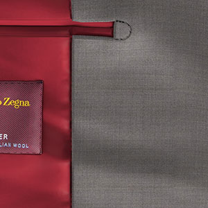 Zegna Travellerグレージュ ツイル (AR101835)
